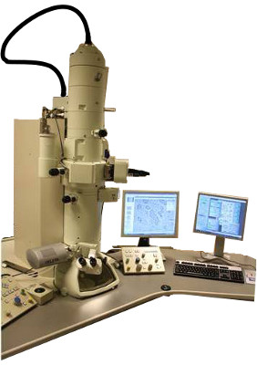 Transmission Electron Microscope JEOL JEM 1400w Olympus Quemesa 11Mpx